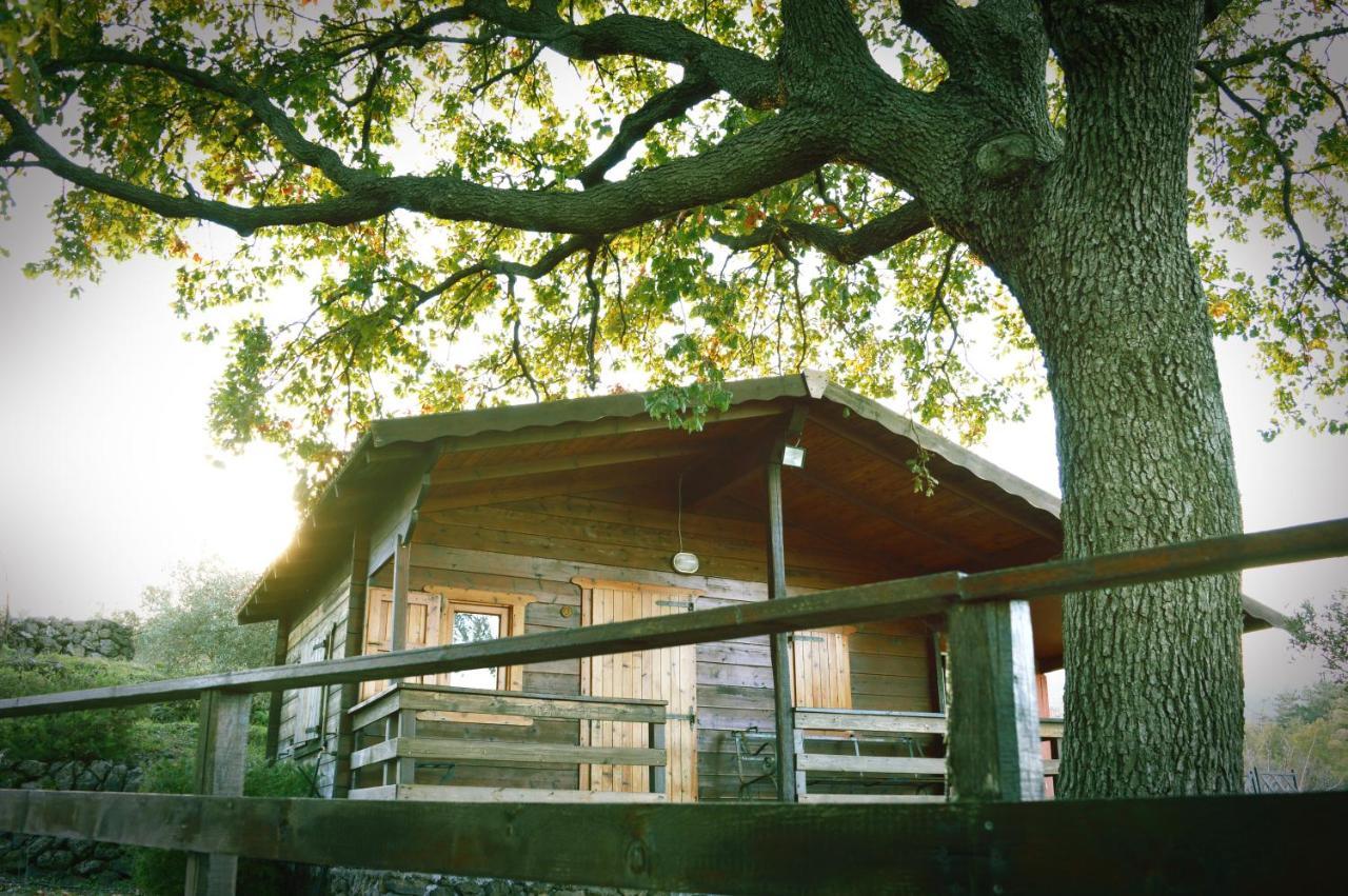 Agroturismo Kikajon Linguaglossa